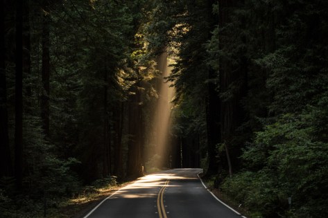 sunlit-road