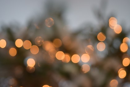 rose-elena-501361-unsplash