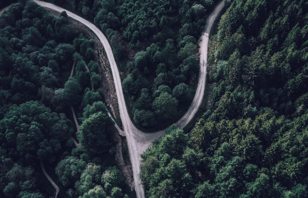 road through the forest splitting into crossroads